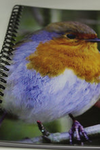 Load image into Gallery viewer, Robin Red Breast Lined Spiral A5 Notebook
