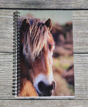 Load image into Gallery viewer, Horse Notebook Lined Glossy Photographed Wild Pony Notepad
