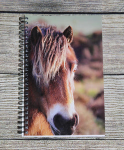 Horse Notebook Lined Glossy Photographed Wild Pony Notepad