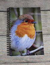 Load image into Gallery viewer, Robin Red Breast Lined Spiral A5 Notebook
