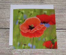 Load image into Gallery viewer, Striking Poppy Greeting Card Blank with White Envelope
