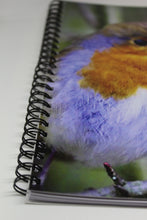 Load image into Gallery viewer, Robin Red Breast Lined Spiral A5 Notebook
