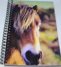 Load image into Gallery viewer, Horse Notebook Lined Glossy Photographed Wild Pony Notepad
