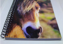 Load image into Gallery viewer, Horse Notebook Lined Glossy Photographed Wild Pony Notepad
