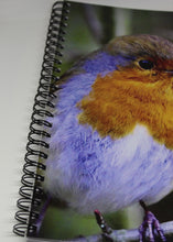 Load image into Gallery viewer, Robin Red Breast Lined Spiral A5 Notebook
