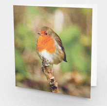 Load image into Gallery viewer, Chirpy Robin Blank any Occasion Greeting Card
