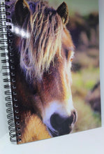 Load image into Gallery viewer, Horse Notebook Lined Glossy Photographed Wild Pony Notepad
